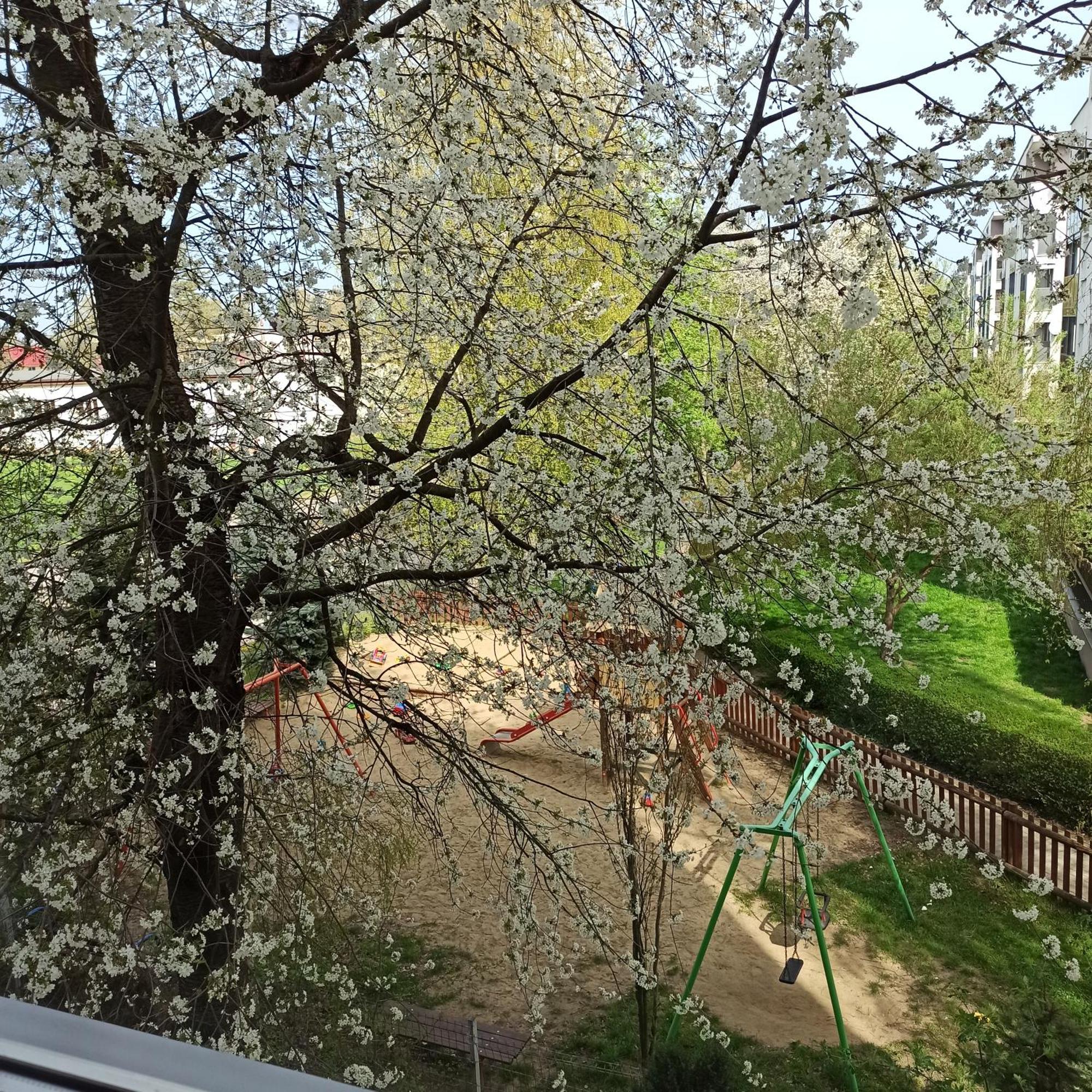 Apartament Dunikowskiego 57M2 Люблин Экстерьер фото